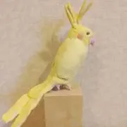 ウリスケ