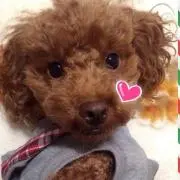 らんらん
