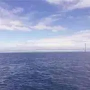 レオナルド・ケイジの画像
