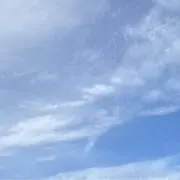 ゆかの画像