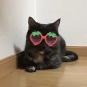 みい⚠️プロフ必読・即購入可の画像