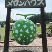 T&Kの画像