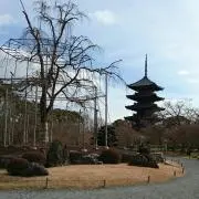 ポゥママの画像