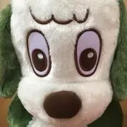 あーちゃんの画像