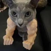 値下げ交渉〇の画像