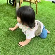 たるとの画像