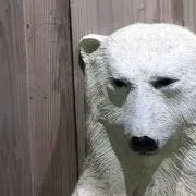ちゃんこ