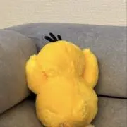 ダック商店の画像