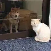 ベモ  (※プロフ必読)の画像