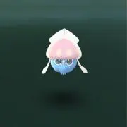 たこの画像