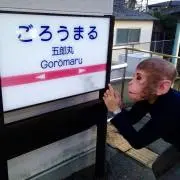 ミノ