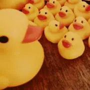 ぬんぴよの画像