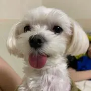 kaの画像