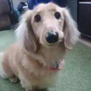 き