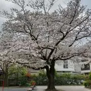 KRの画像