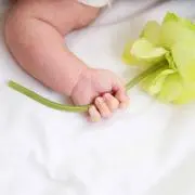 miraiの画像