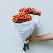 ヒカル★の画像