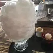 トラベラー ☆の画像