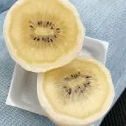 向日葵