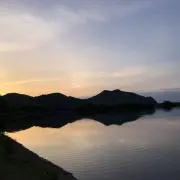 わかめの部屋の画像