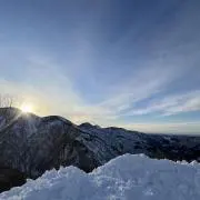 Dacchiの画像