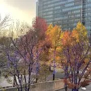 めい*ご質問なんでもどうぞの画像