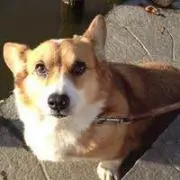 能勢裕之の画像
