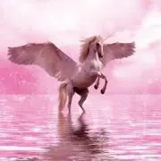 りん︎︎︎︎♪の画像
