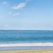 さいー