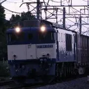 回の画像