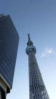 ミントの画像