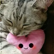 そらちゃん