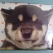 タロウ