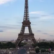 ハセの画像