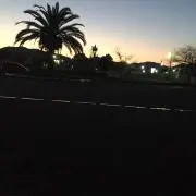 キウィ