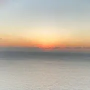 ぴーすけの画像