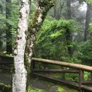 おくはらなつの画像