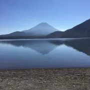 初めての出品の画像