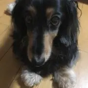 KAZUKO