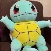 ゼニガメ【本文要確認】の画像