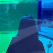 aaaammの画像
