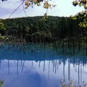 こうの画像