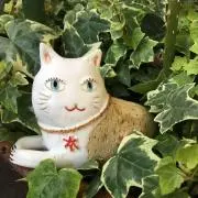 ふあららいの画像
