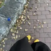 テカコの画像