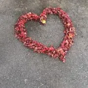 もかの画像