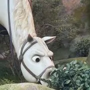 まっくすの画像