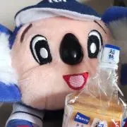 ひまわりの画像