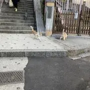 le★の画像
