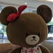 くまこの画像