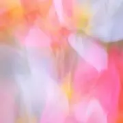 mi_oの画像